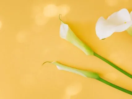 Manifest Absolute Success Today!