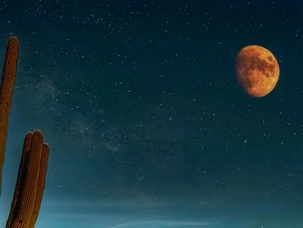 Manifest Abundance: Align with Wealth Energy 6Hz