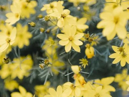 Manifest Abundance In Your Life