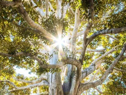 Manifest Abundance Today