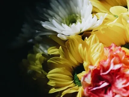 Manifest Abundance While You Sleep | Sleep Affirmations