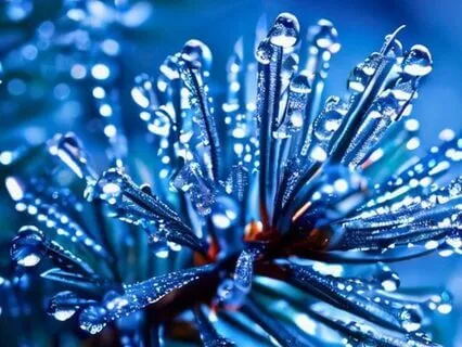 Manifest An Abundant 2025 : Time-Friendly Affirmations