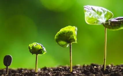 Manifest Anything By  Breaking Limiting Beliefs