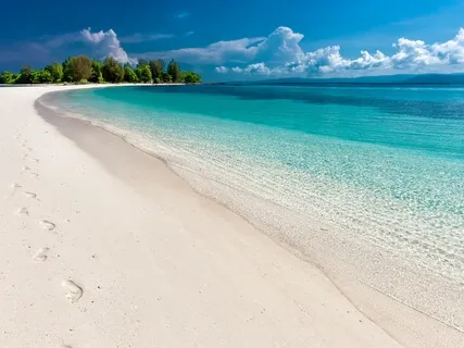 Manifest Anything You Want, 100% Works