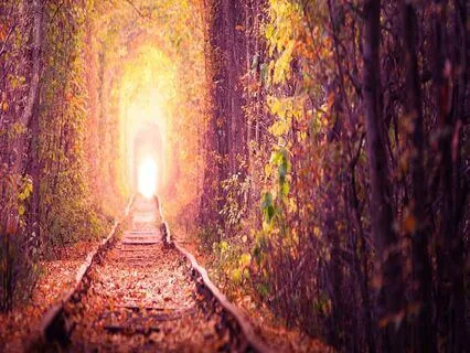 Manifest Anything You Want | Theta Brain Waves | 432Hz