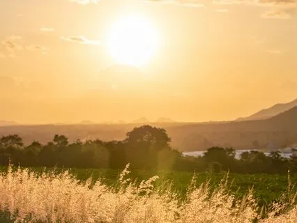 Manifest Calm And Peace