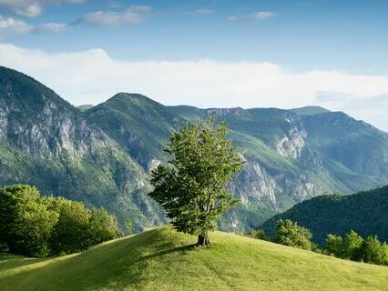 Manifest Calm: Let Go Of Anxiety