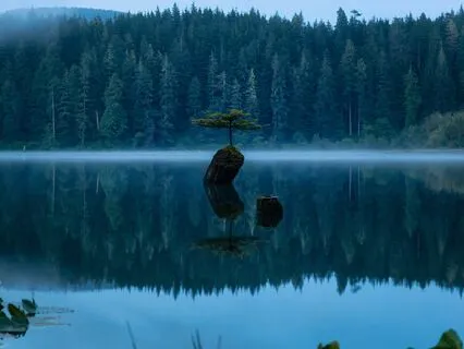 Manifest Calm: Music To Reduce Anxiety