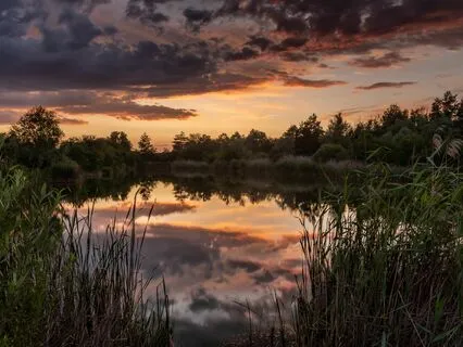 Manifest Calm: Stress-Free Soundscapes