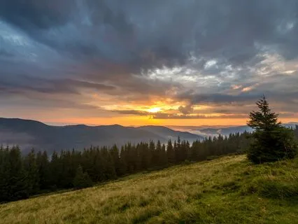 Manifest Calm: Stress-Free Soundscapes