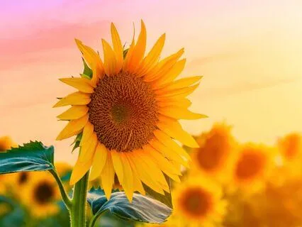 Manifest Change - Quantum Jumping Meditation For Beginners