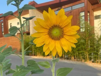 Manifest Energy Into Form