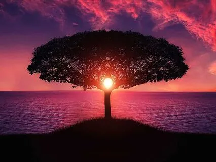 Manifest From The Heart: Visualizing My Deepest Desires