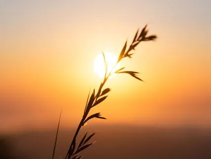 Manifest From The Stillness: A Portal To Infinite Potential