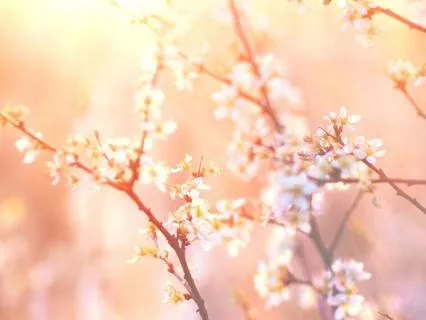 Manifest From Within: Intention & Energy Activation