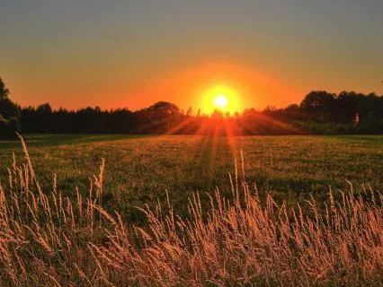 Manifest Gratitude At Sunrise