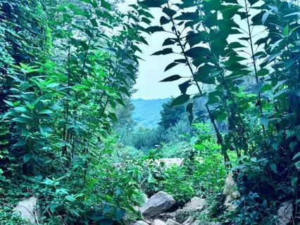 Manifest Infinite Wealth Affirmations