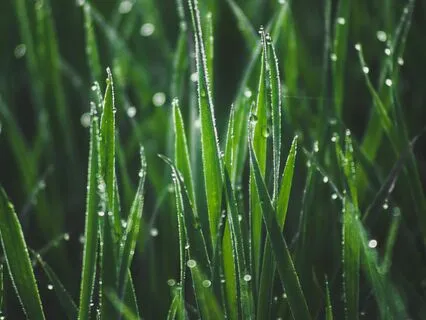 Manifest Love Breathwork