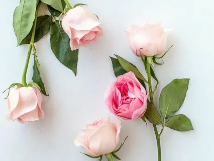 Manifest Love With Affirmations