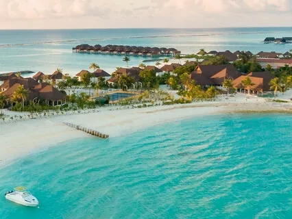 Manifest Miracles - 432Hz Attraction Music