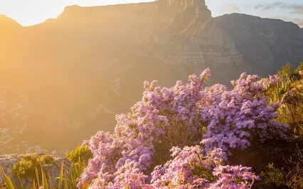 Manifest Miracles Into Your Life 777Hz