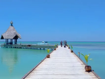 Manifest Monday : Aligned Action - Manifestation Magic