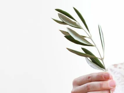 Manifest Peace And Love