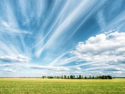 Manifest Serenity: Music For Peace