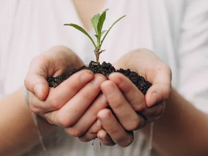 Manifest The Life You Desire In Your Garden Of Dreams