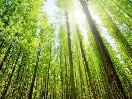 Mindful Manifestation Meditation For Connection And Creation