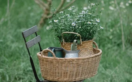 Manifest True Love (852Hz)