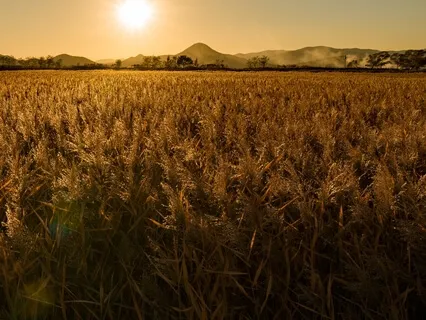 Manifest Wealth & Abundance Guided Meditation