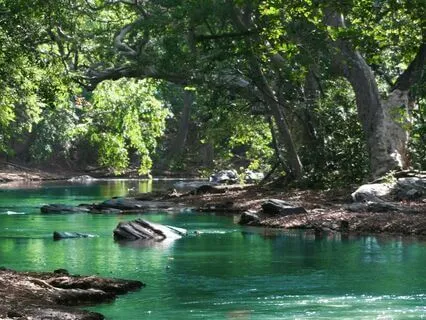 Manifest Wealth Instantly: Attract Miracles, Luck, And Money