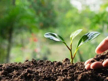 Manifest Wealth & Abundance Affirmations Sleep Meditation