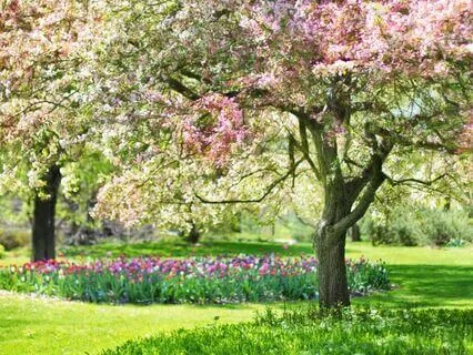 Manifest Wealth: Step Into Financial Abundance
