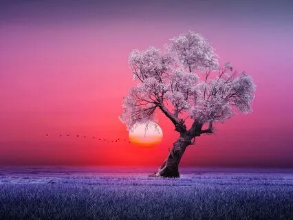 Manifest While Sleeping: Confidence & Positive Self-Image