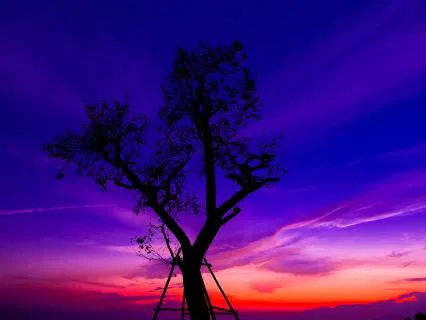Manifest While Sleeping: Self-Love, Vibrant Health & Energy