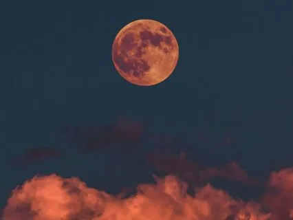 Manifest While You Sleep: Deep Trust And Regeneration