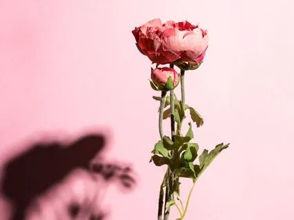 Manifest With Clarity