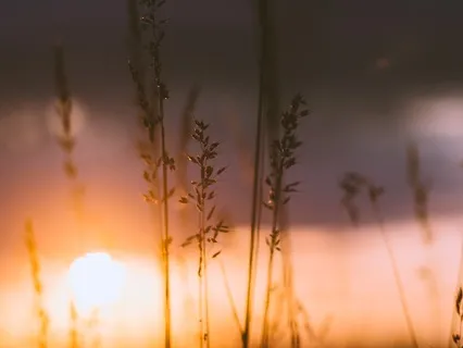 Manifest Within Your Sleep - Evening Meditation