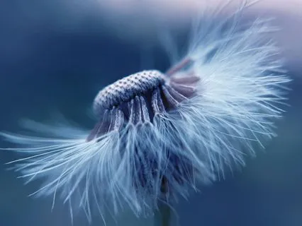 Manifest Your Best Year: Goals And Heartfelt Intentions