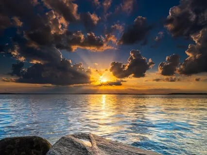 Manifest Your Creative Passion And Dharma