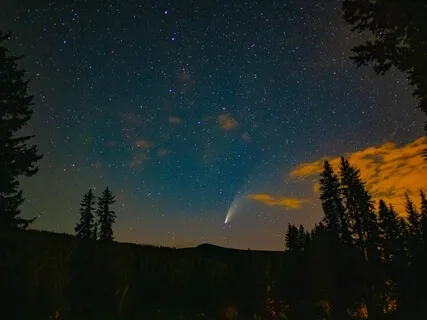 Manifest Your Desires