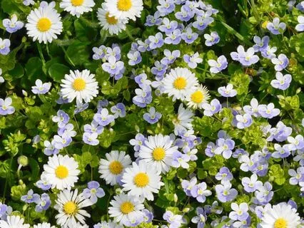 Manifest Your Desires