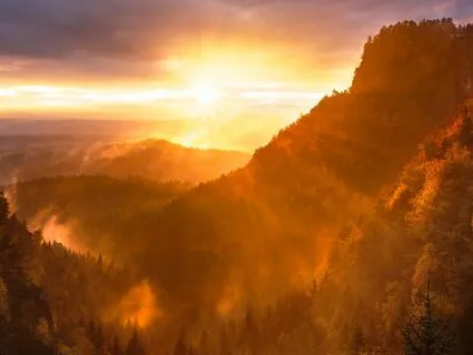 Manifest Your Desires