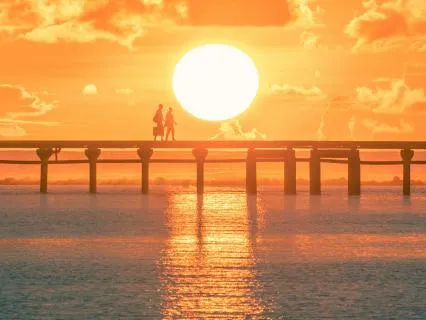 Manifest Your Desires