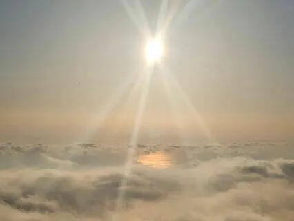 Manifest Your Dream Into Reality