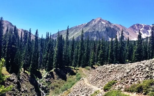 Manifest Your Dream Life