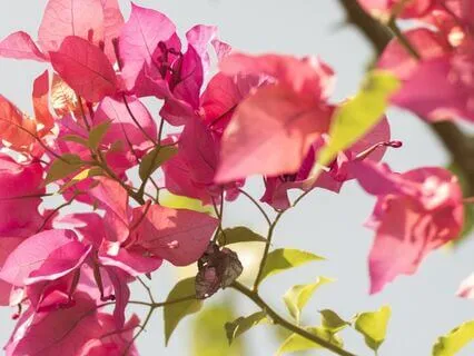 Manifest Your Dream Life: Abundance Awaits | 3 Hz