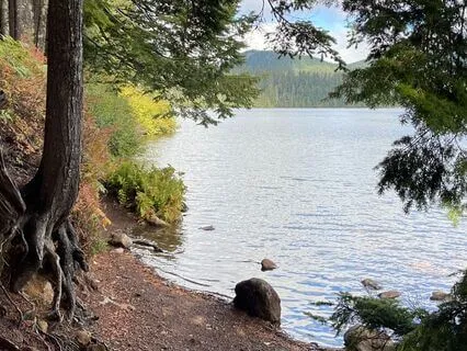 Manifest Your Dream Life